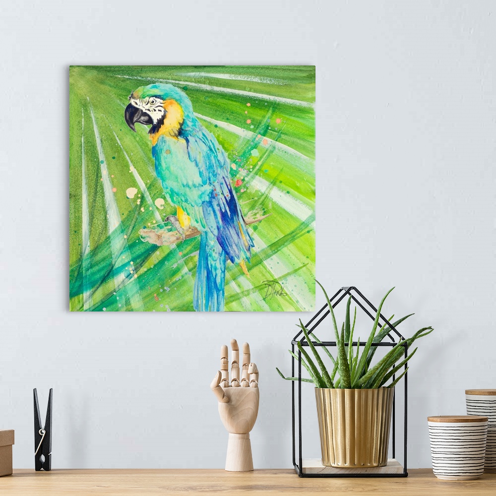 A bohemian room featuring Colorful Parrot
