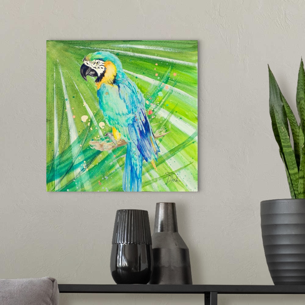 A modern room featuring Colorful Parrot