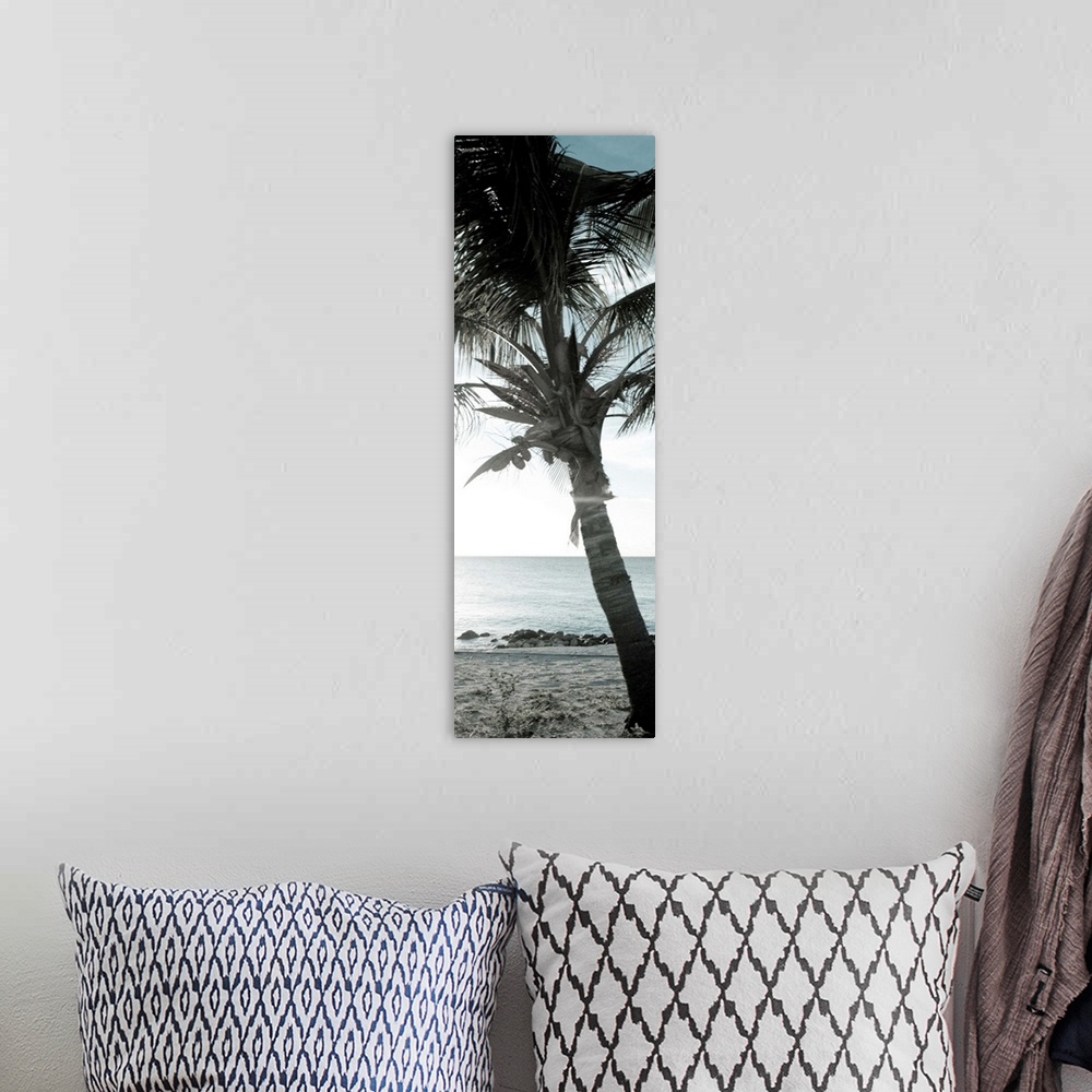 A bohemian room featuring Cool Bimini Palm I