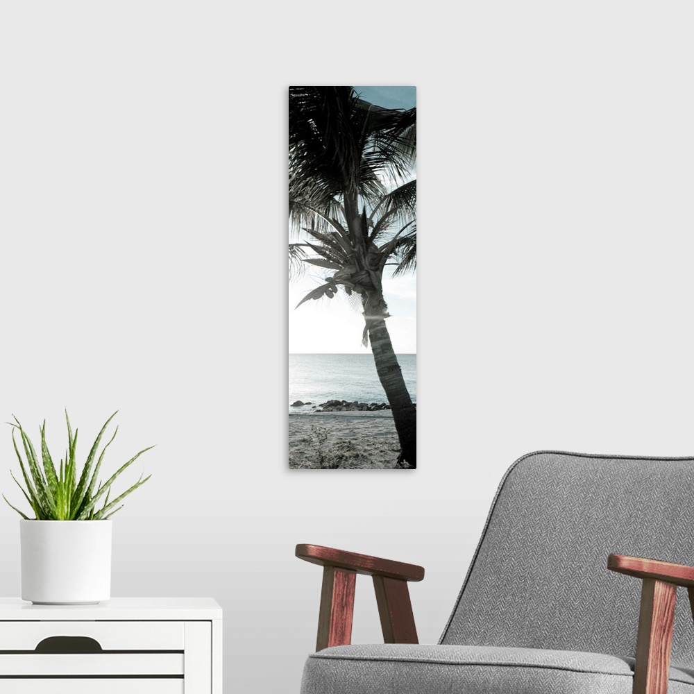 A modern room featuring Cool Bimini Palm I