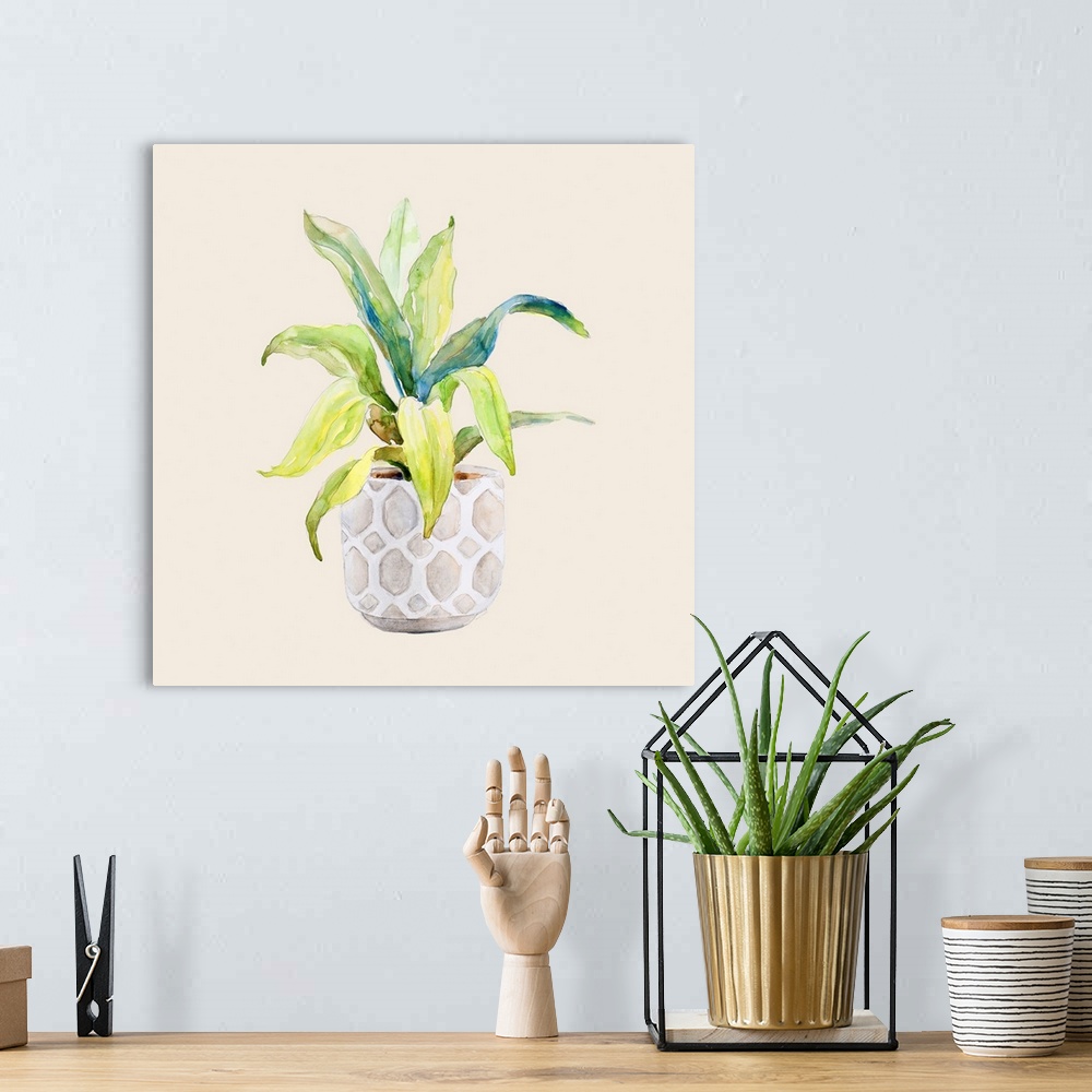 A bohemian room featuring Decorative Potted Plant I