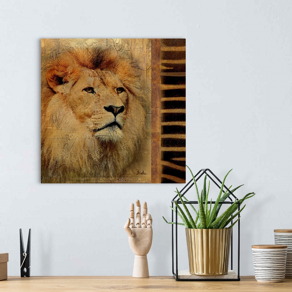 A bohemian room featuring Artwork of just the face of a lion with a zebra pattern on the right side of the painting. There ...