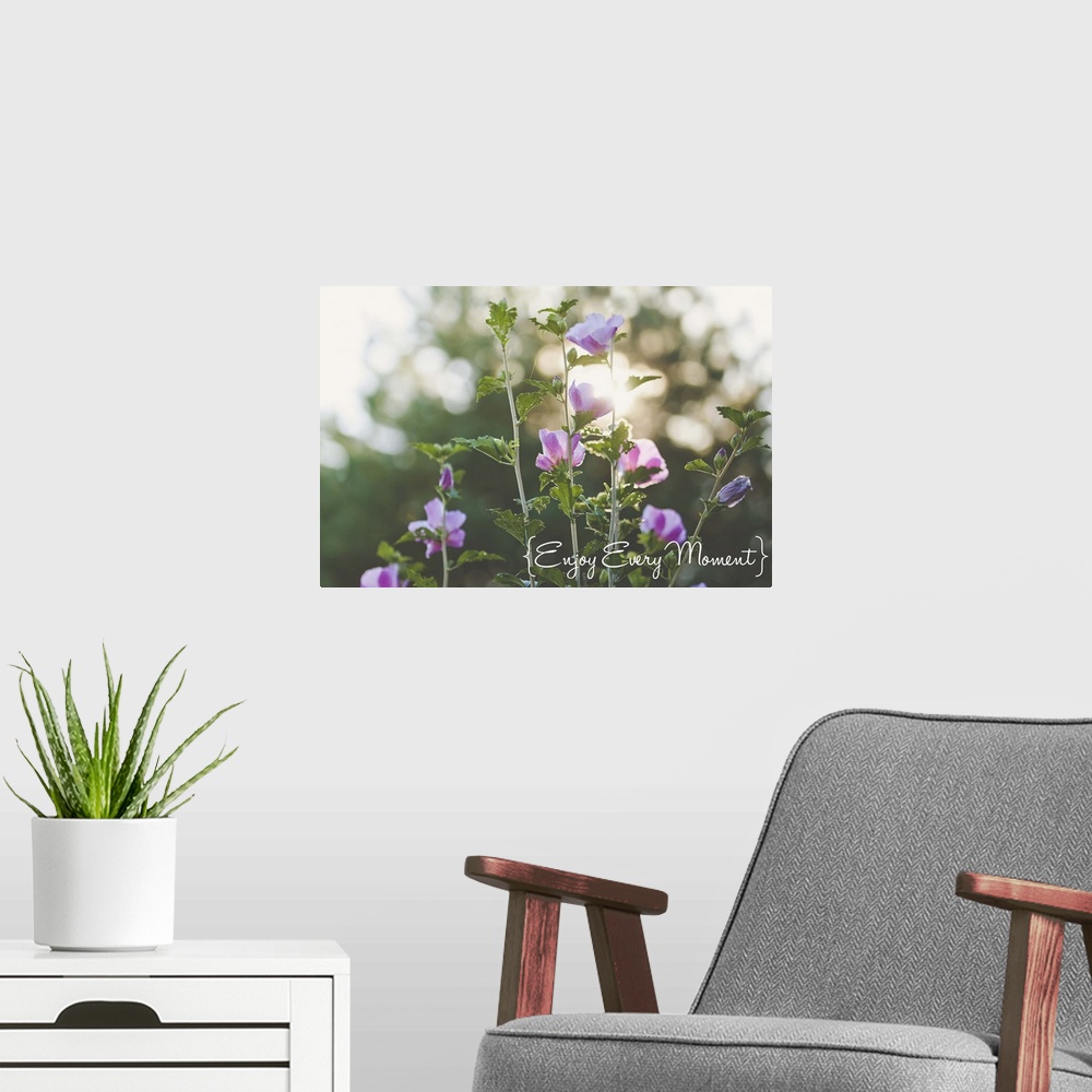 A modern room featuring Photograph of small purple flowers with sunlight shining through the trees.