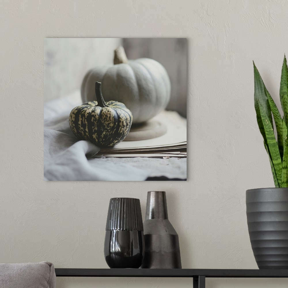 A modern room featuring Fall Bunches