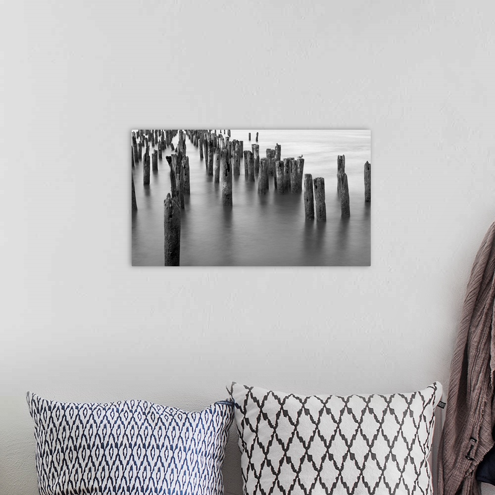 A bohemian room featuring Black and white photograph of weathered wooden posts in the ocean.