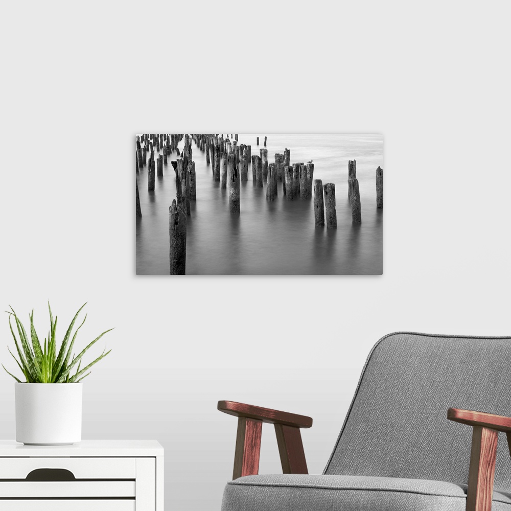 A modern room featuring Black and white photograph of weathered wooden posts in the ocean.