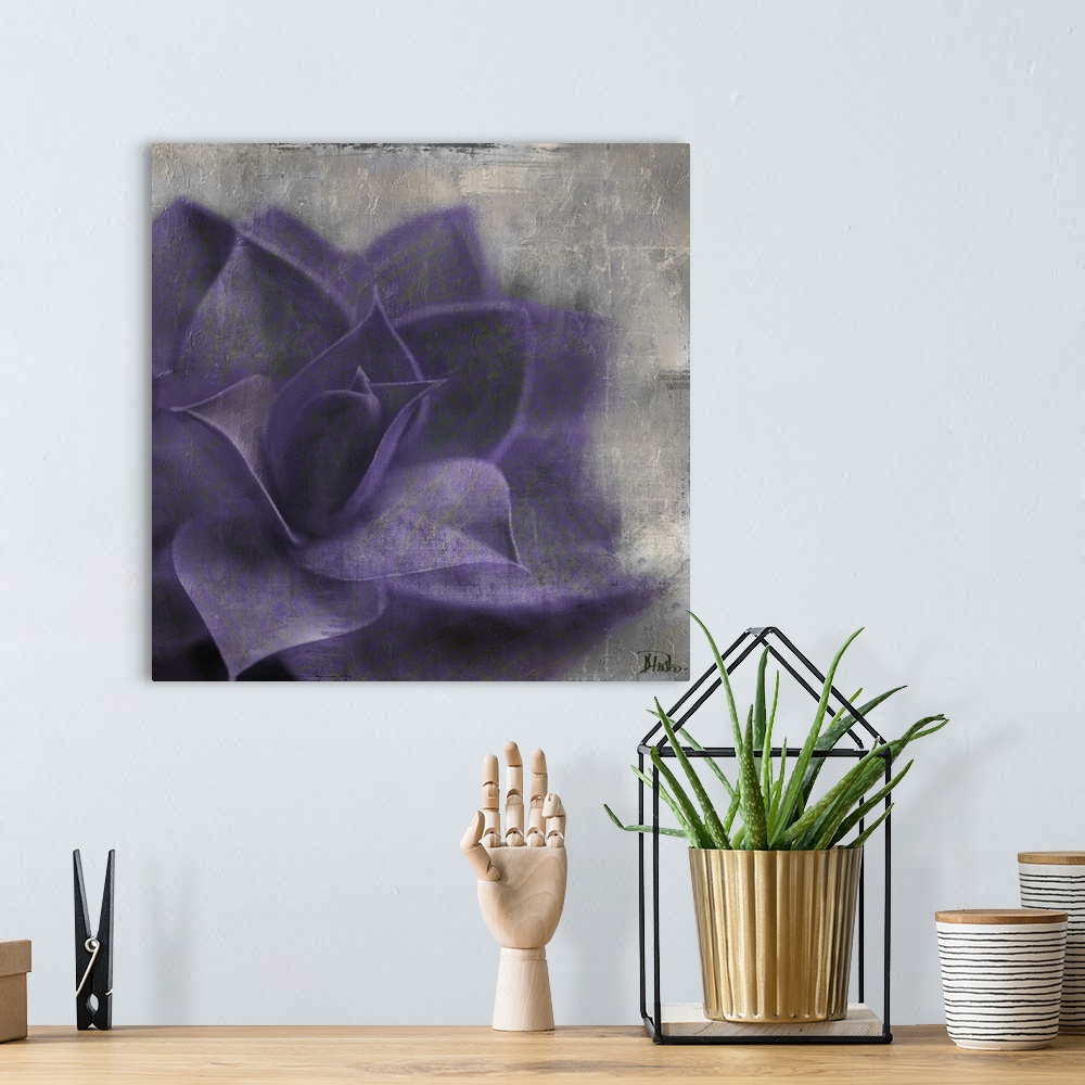 A bohemian room featuring Lavender Succulent II