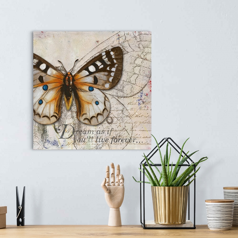 A bohemian room featuring Square painting on canvas of a butterfly with the text "Dream as if you'll live forevero".