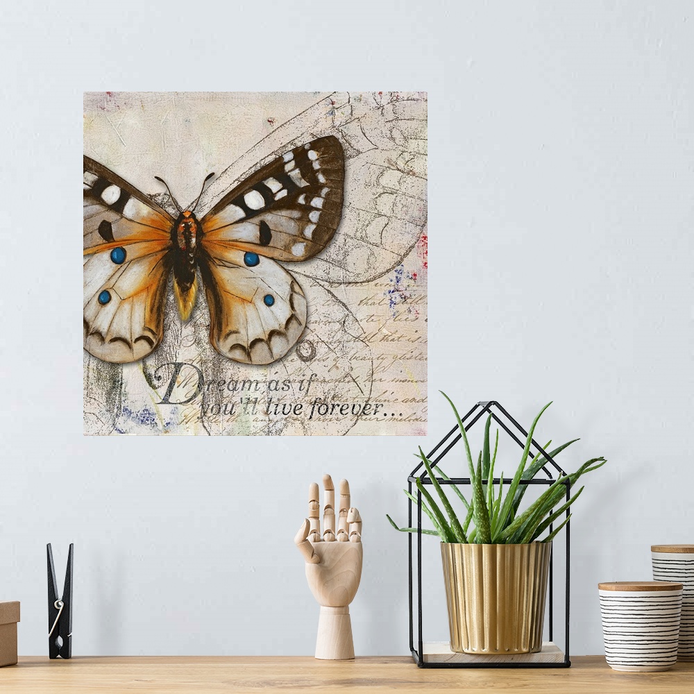 A bohemian room featuring Square painting on canvas of a butterfly with the text "Dream as if you'll live forevero".