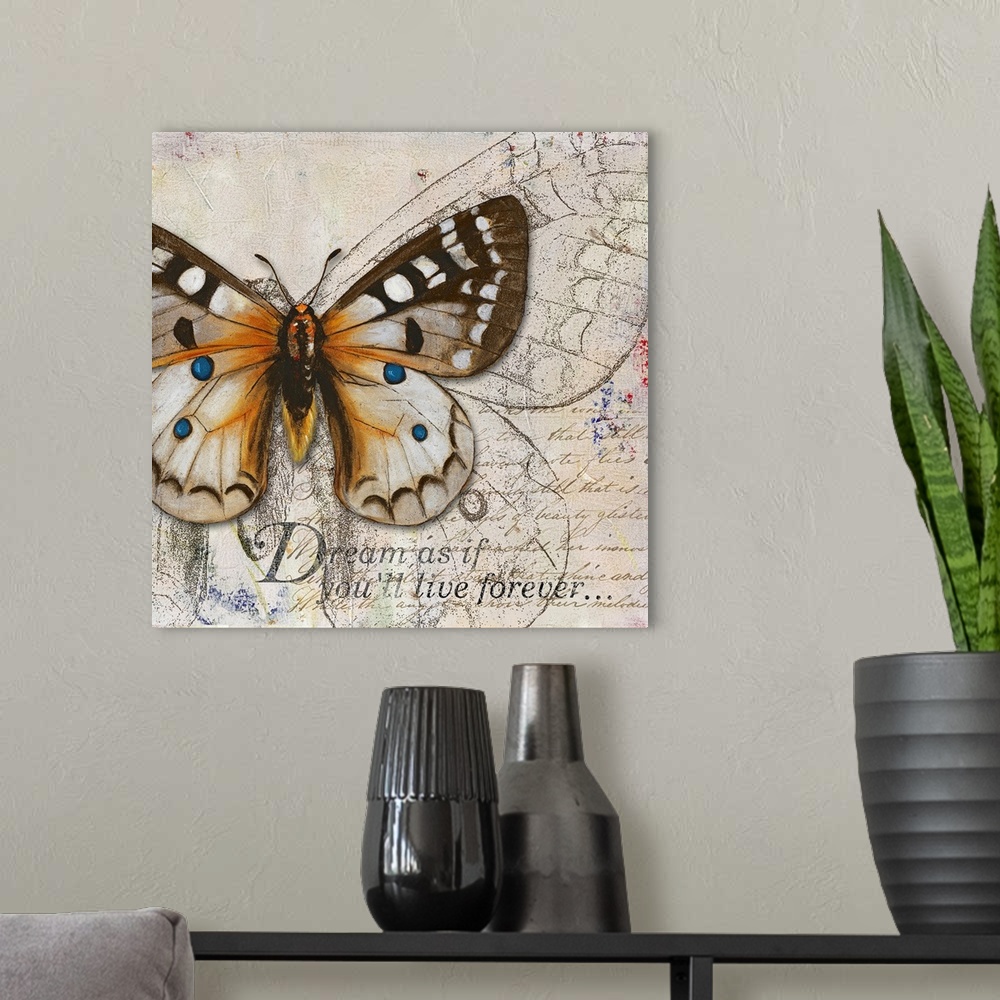A modern room featuring Square painting on canvas of a butterfly with the text "Dream as if you'll live forevero".