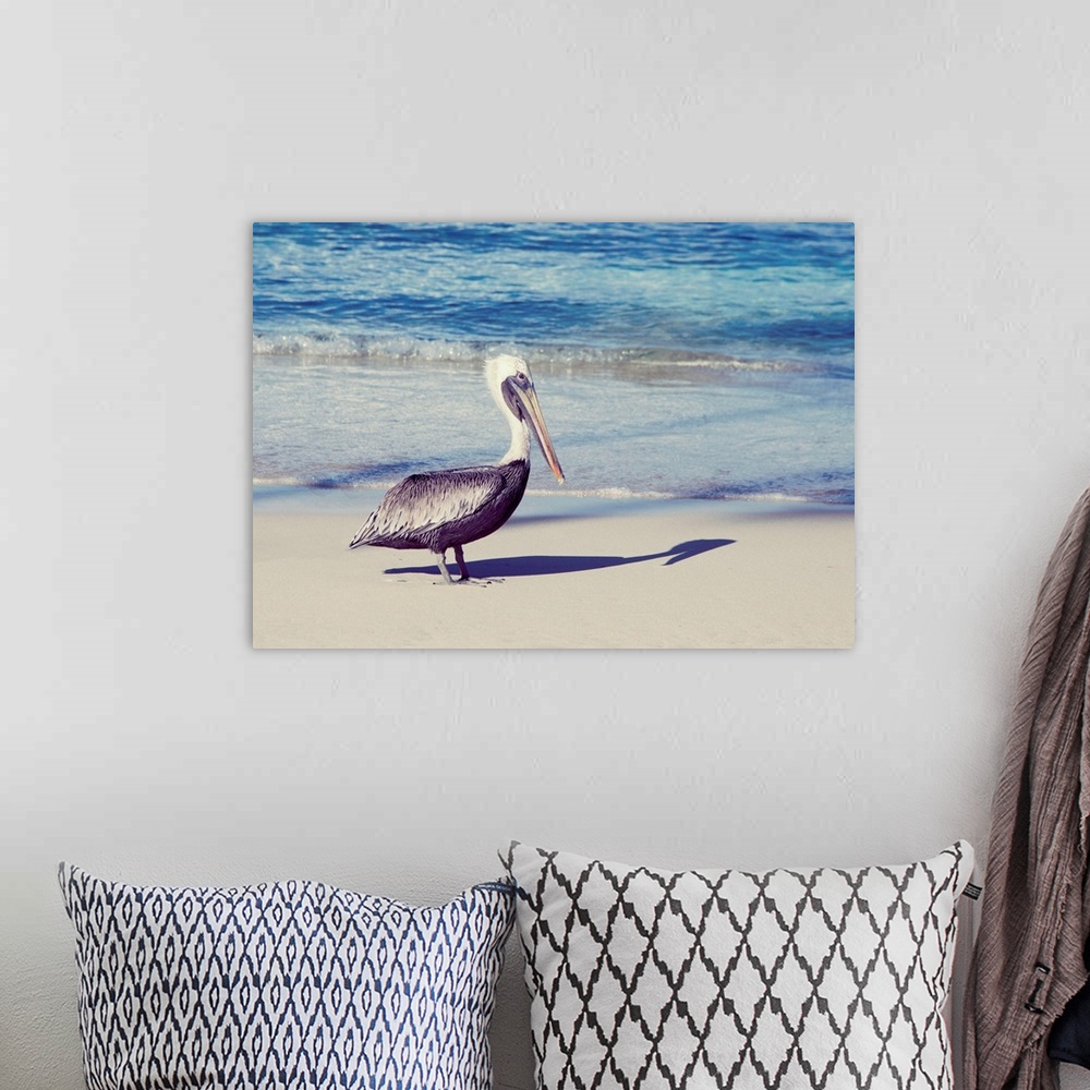 A bohemian room featuring Photograph of a pelican and his shadow.