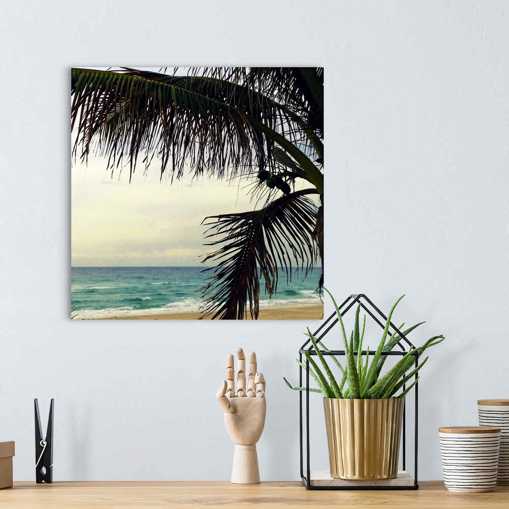 A bohemian room featuring Palm and Beach