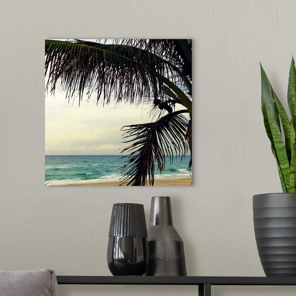 A modern room featuring Palm and Beach