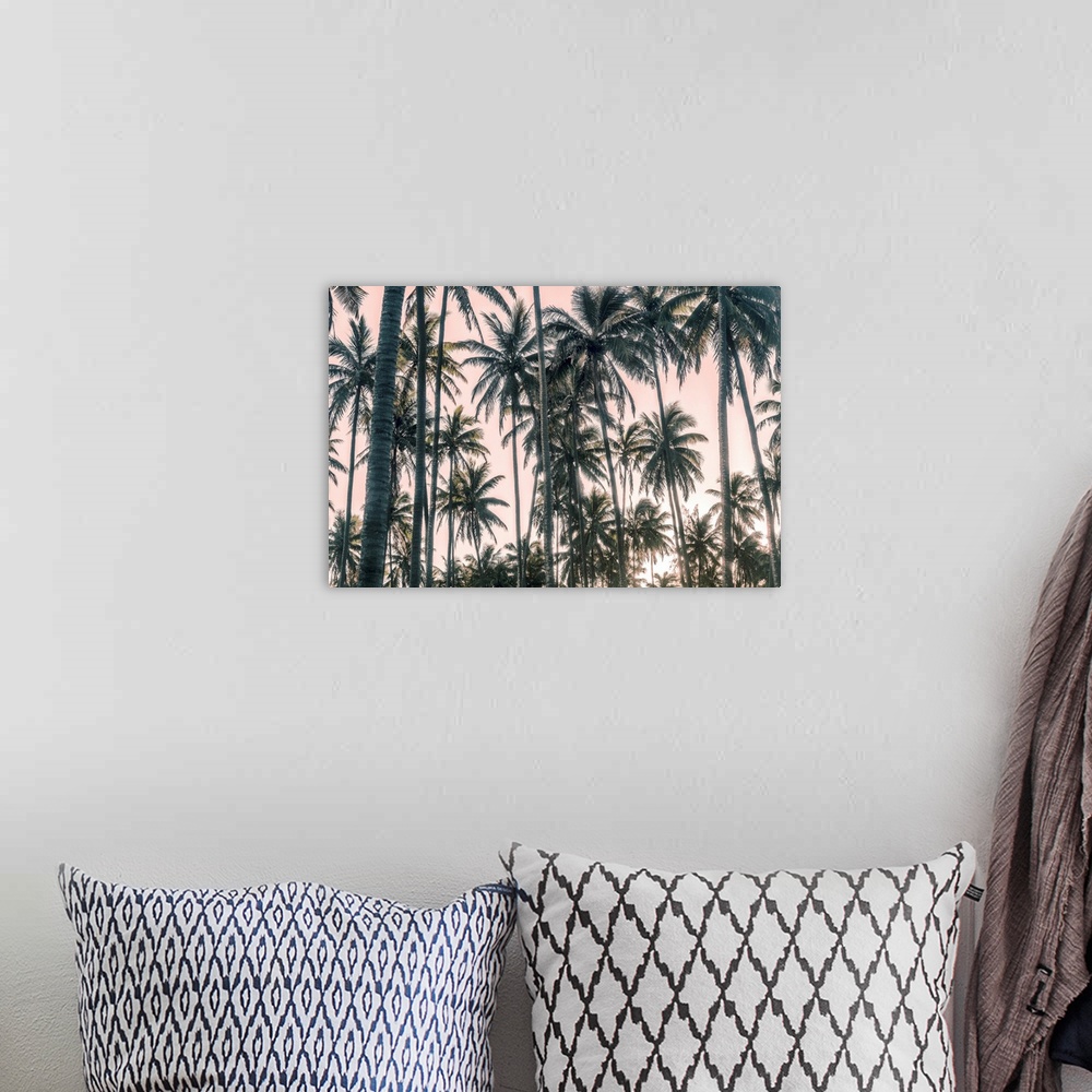 A bohemian room featuring Palms View On Pink Sky I
