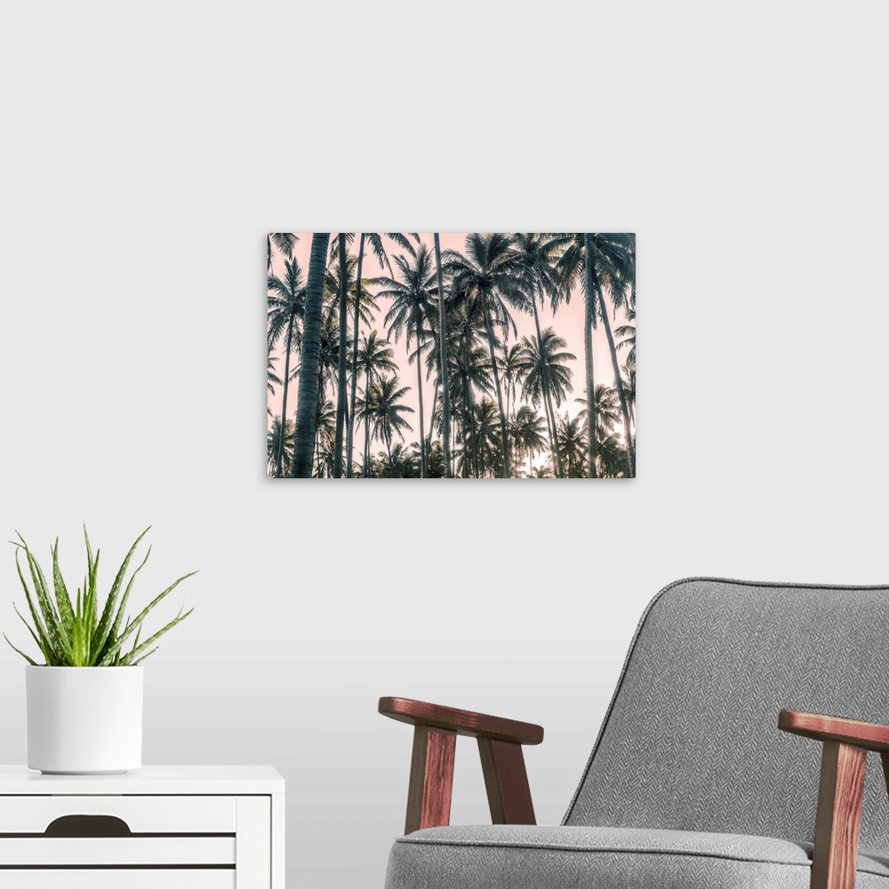 A modern room featuring Palms View On Pink Sky I
