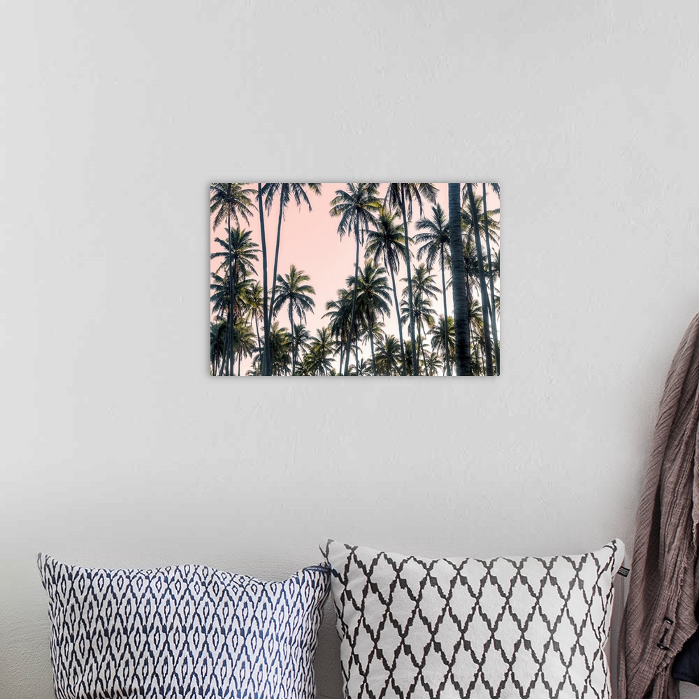 A bohemian room featuring Palms View On Pink Sky II