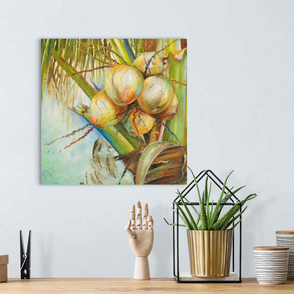 A bohemian room featuring Patricia's Coconuts II