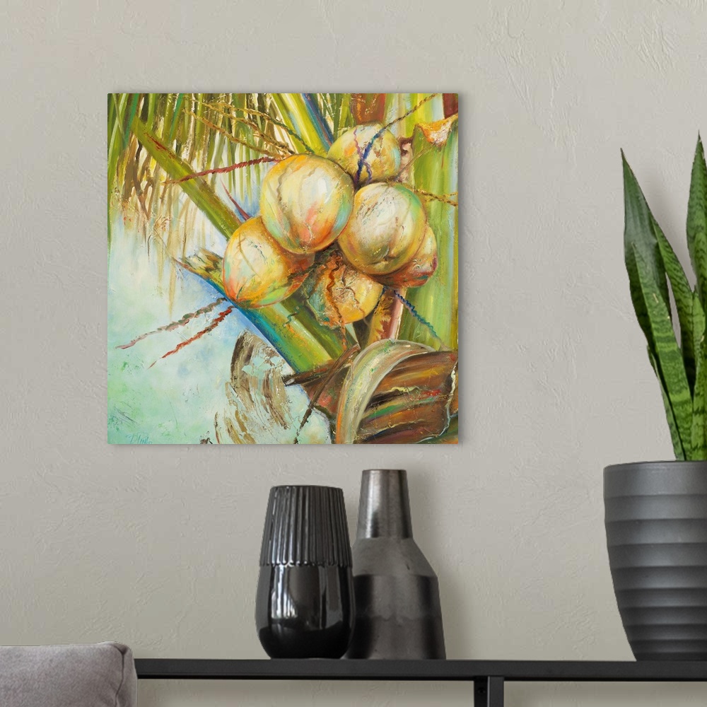 A modern room featuring Patricia's Coconuts II