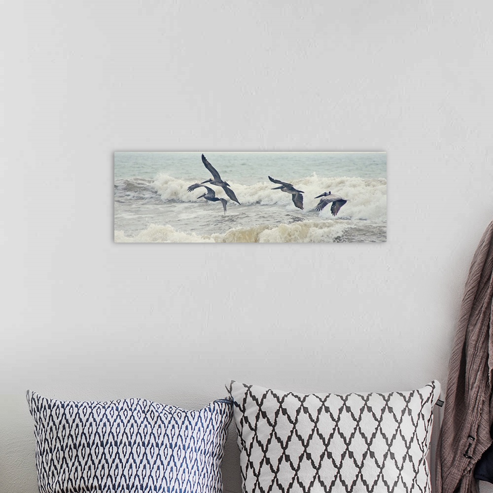 A bohemian room featuring A photograph of four pelicans flying over ocean waves.