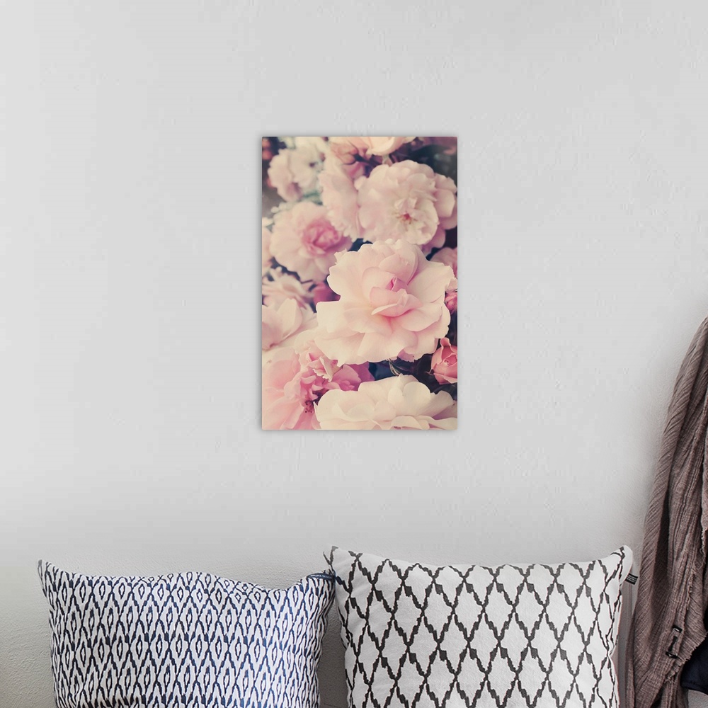 A bohemian room featuring Soft photograph of pink flowers with a shallow depth of field