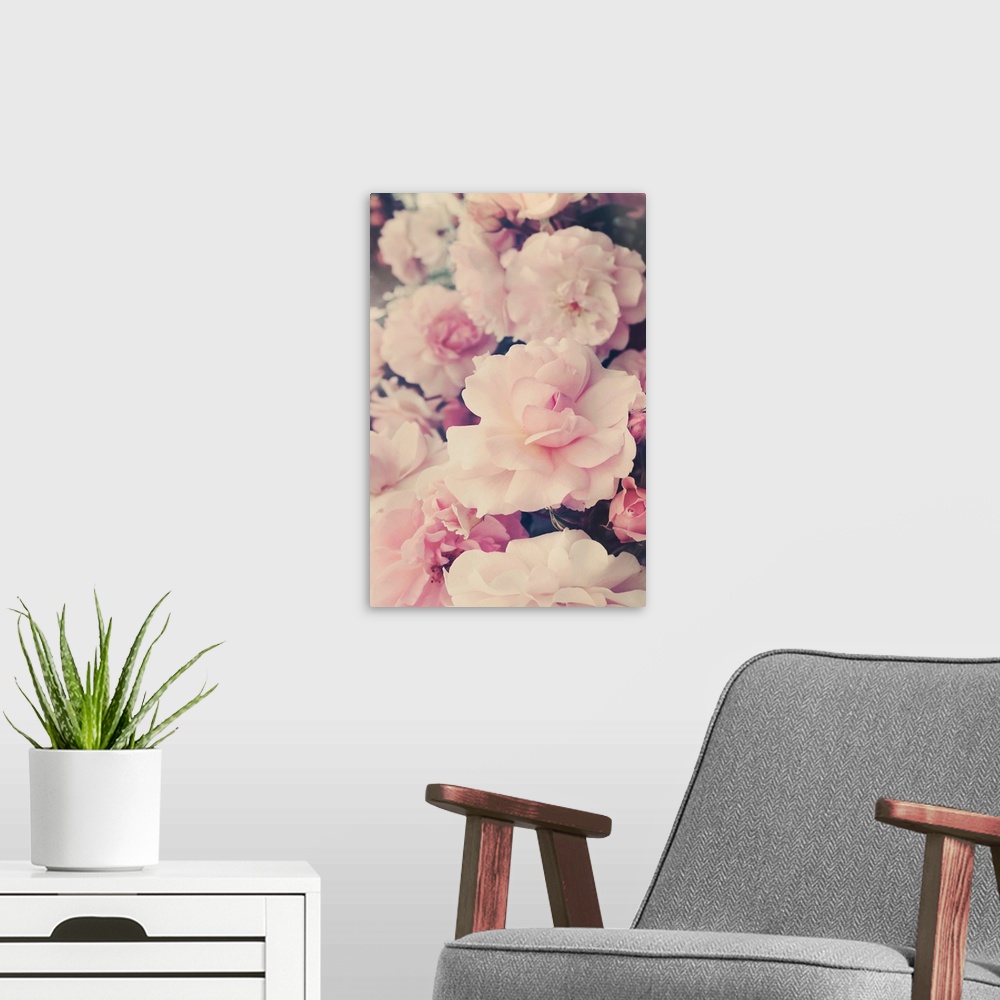 A modern room featuring Soft photograph of pink flowers with a shallow depth of field
