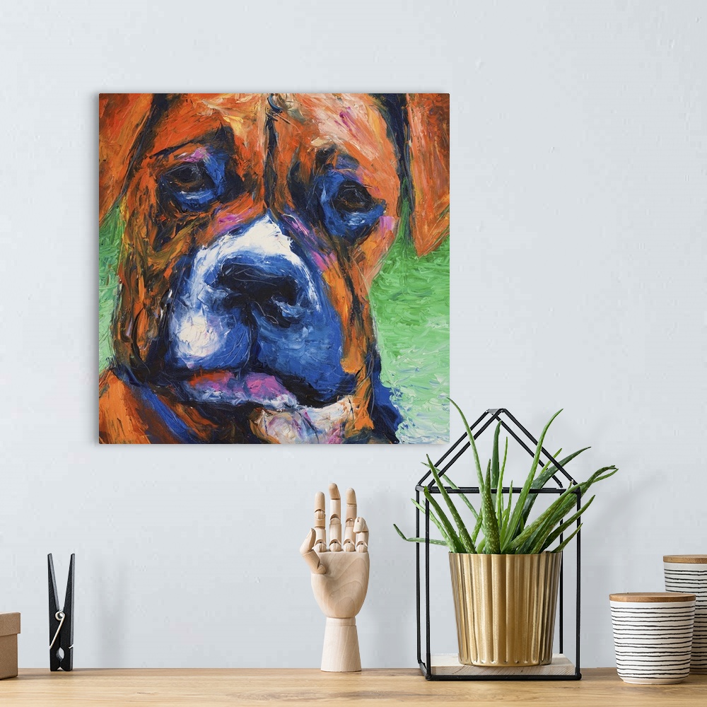 A bohemian room featuring Contemporary portrait of a boxer with a white muzzle.