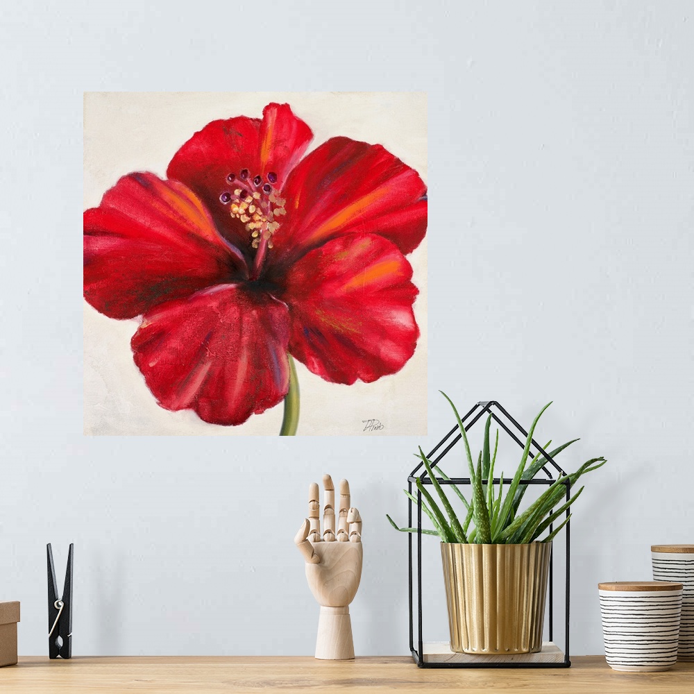 A bohemian room featuring Up-close photograph of flower showing its petals, stem, and stamen.