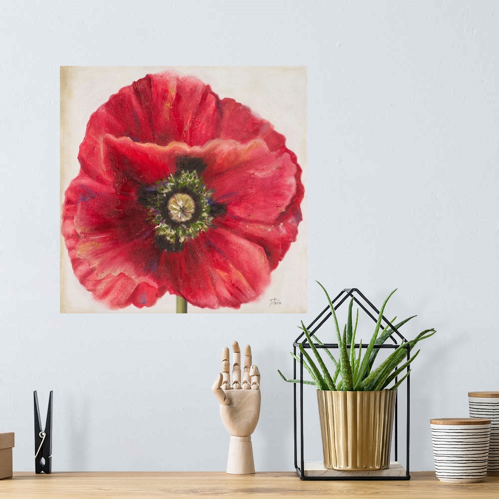 A bohemian room featuring Red Poppy