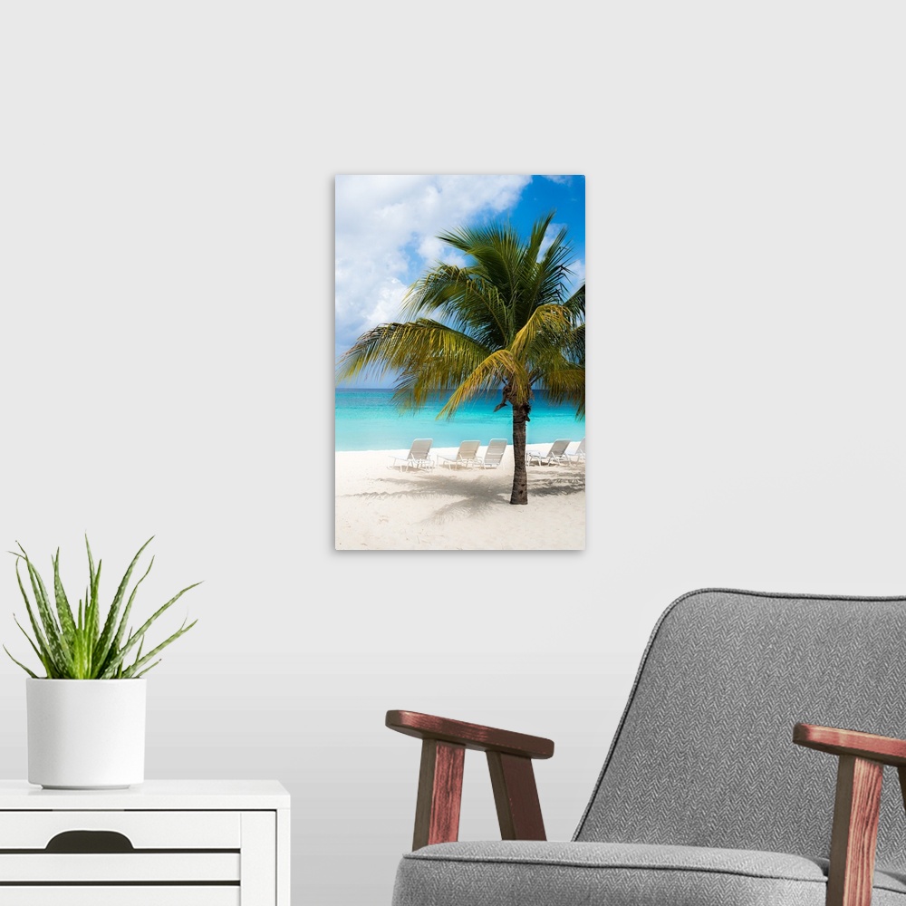A modern room featuring A beautiful photograph of the calm, clear, blue beach with white sands and a palm tree.