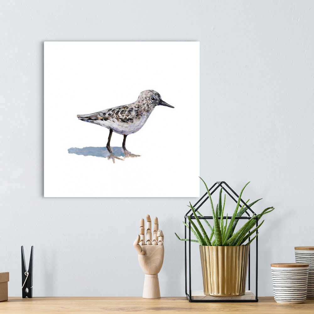 A bohemian room featuring Square painting of a sandpiper on a solid white background.