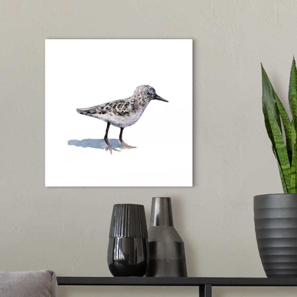A modern room featuring Square painting of a sandpiper on a solid white background.