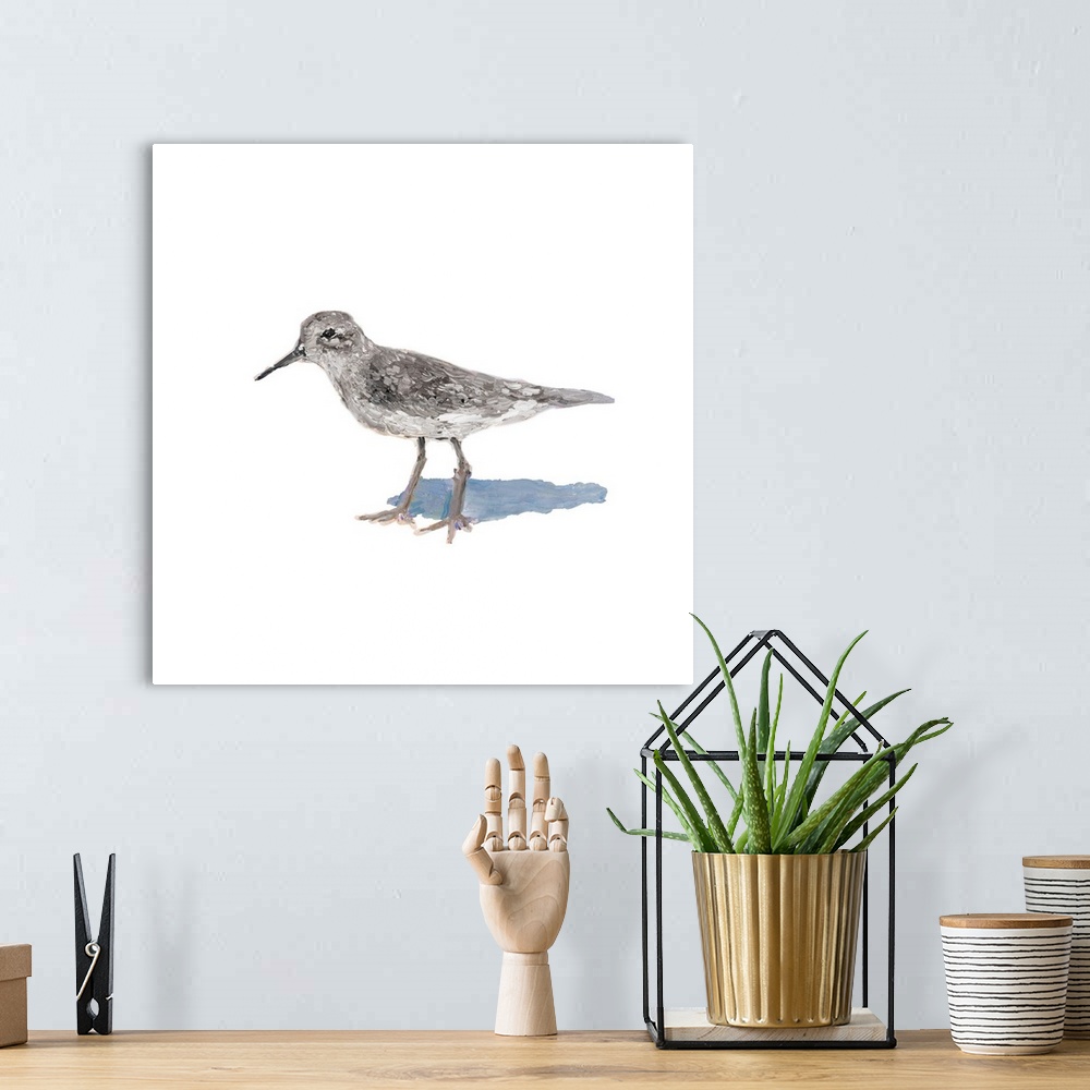 A bohemian room featuring Square contemporary painting of a sandpiper on a solid white background.