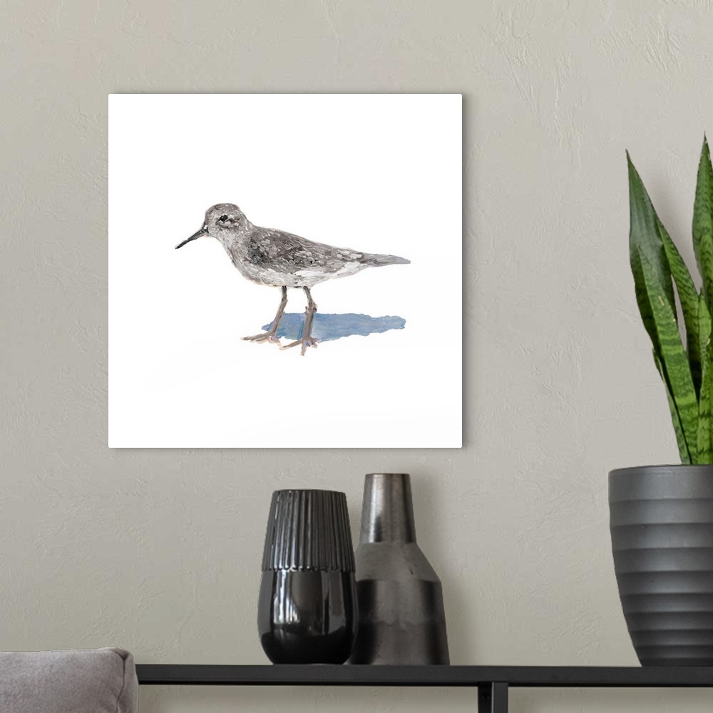 A modern room featuring Square contemporary painting of a sandpiper on a solid white background.