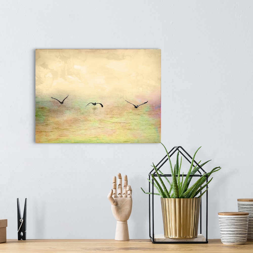 A bohemian room featuring Seagulls in the Sky I