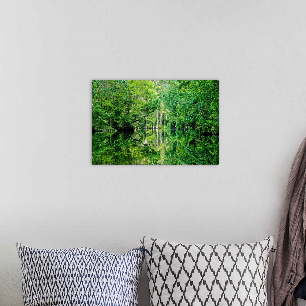 A bohemian room featuring A landscape photograph with lush green trees and reflections on the water.