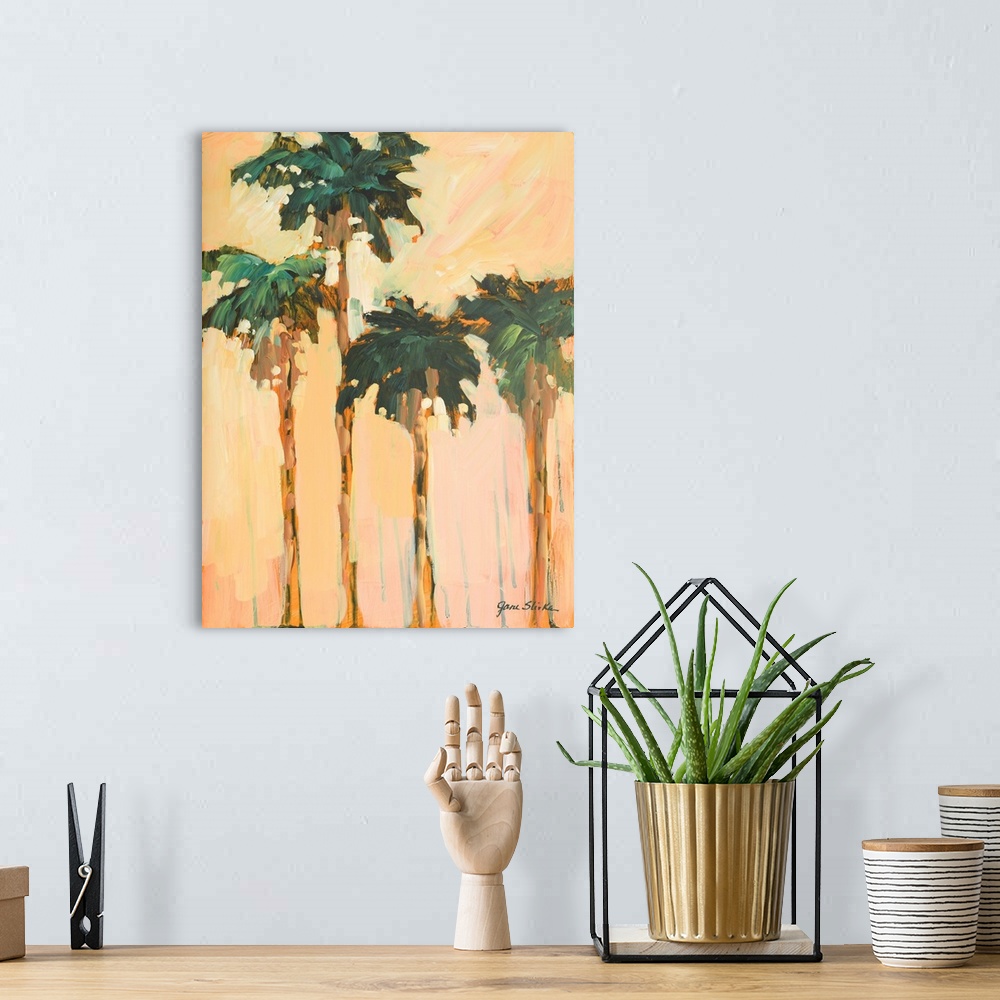 A bohemian room featuring Shady Palms