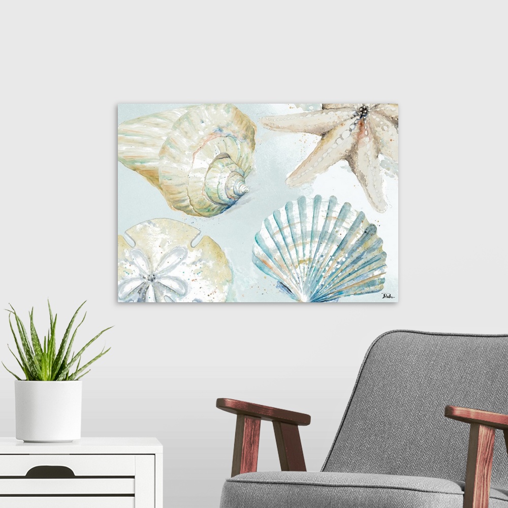 A modern room featuring Shell Collectors