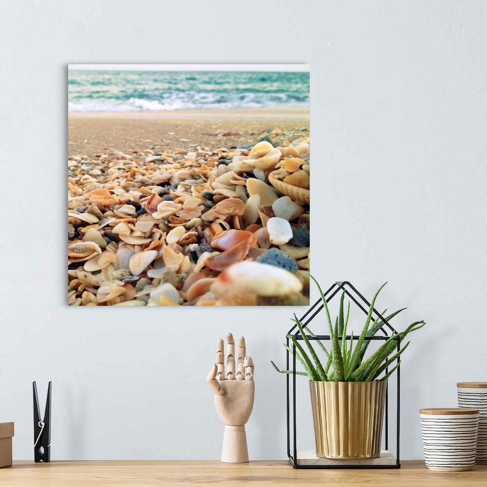A bohemian room featuring Shells Beach I