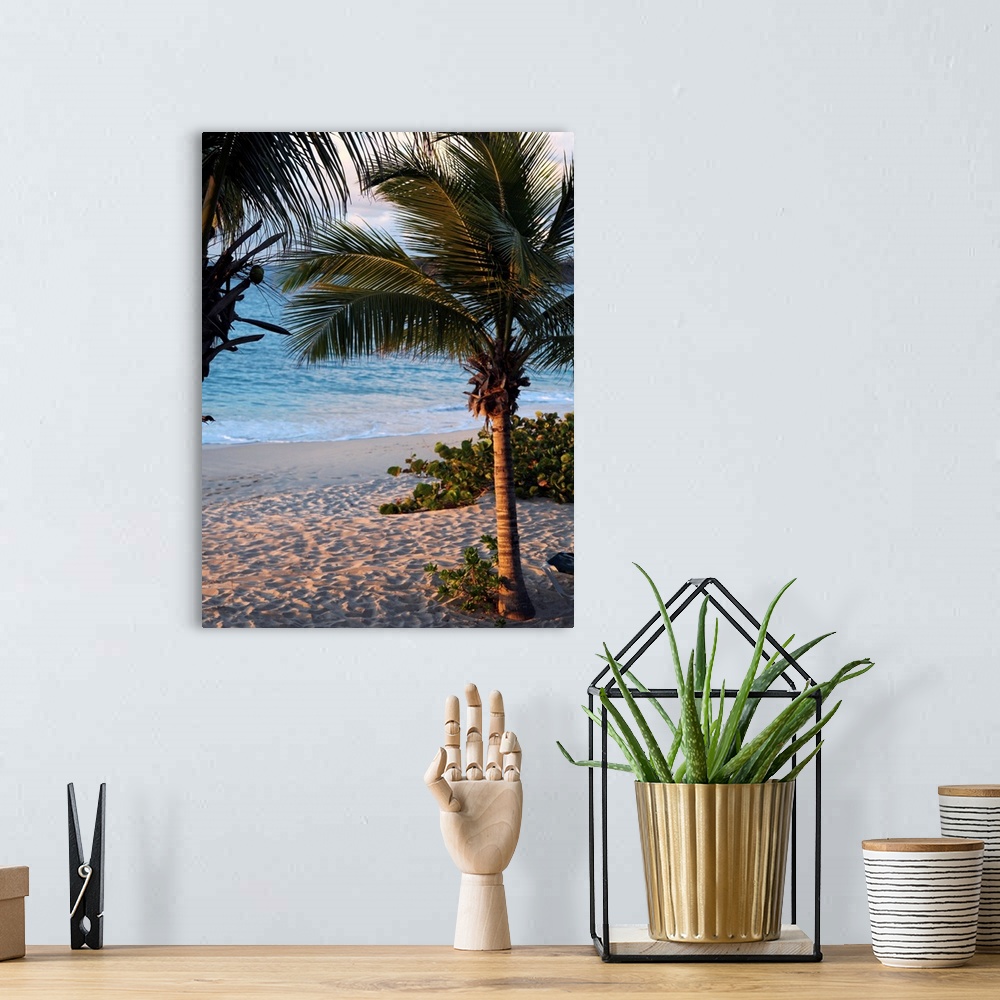 A bohemian room featuring Sunset Palms II