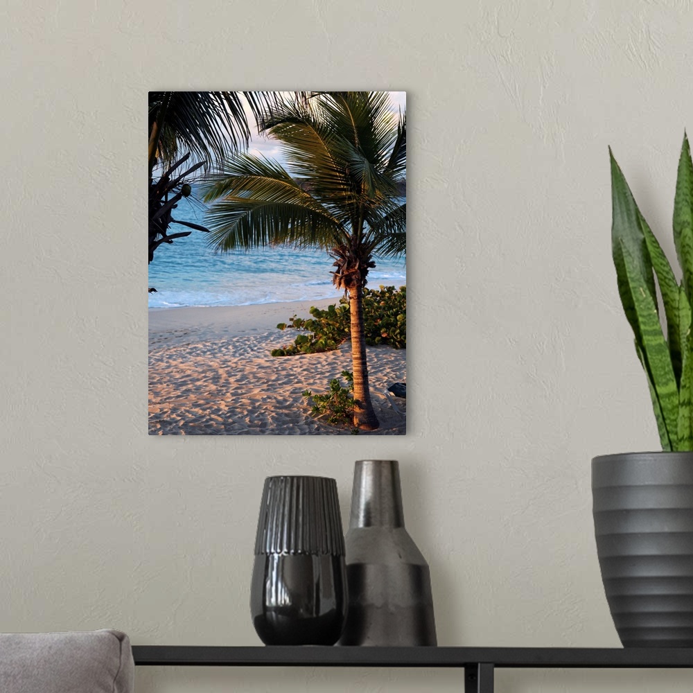 A modern room featuring Sunset Palms II