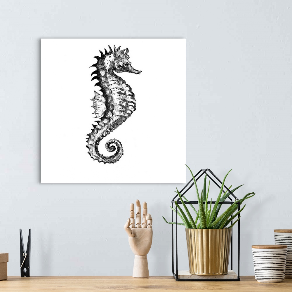 A bohemian room featuring Artwork of a seahorse with a sketchy look to it.