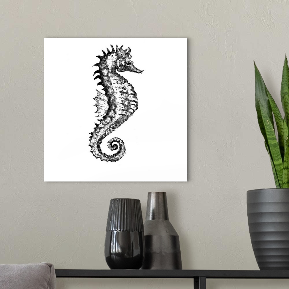 A modern room featuring Artwork of a seahorse with a sketchy look to it.
