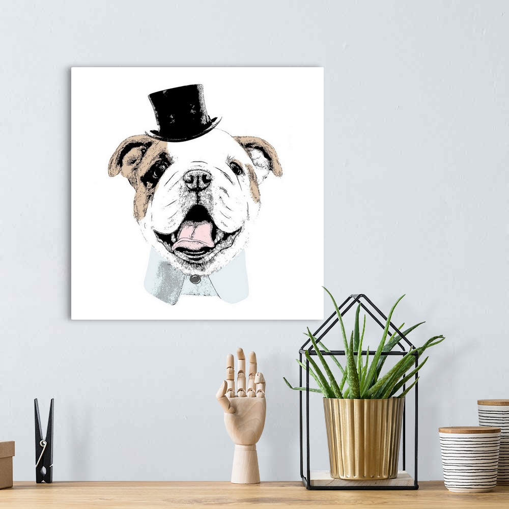A bohemian room featuring Top Hat Dog