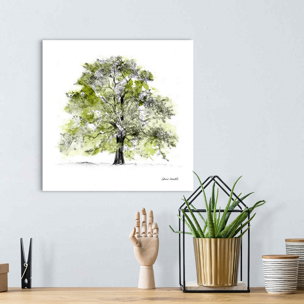 A bohemian room featuring Tree with Green Leaves II