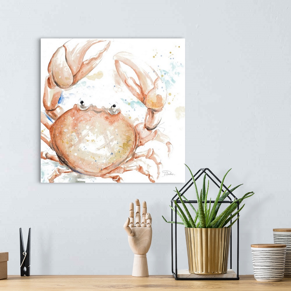 A bohemian room featuring Water Crab