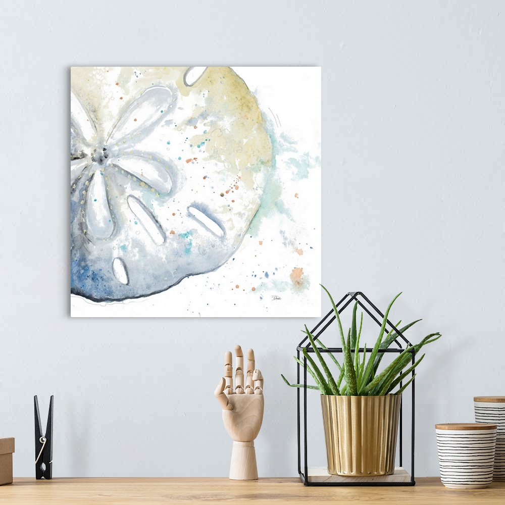 A bohemian room featuring Water Sand Dollar