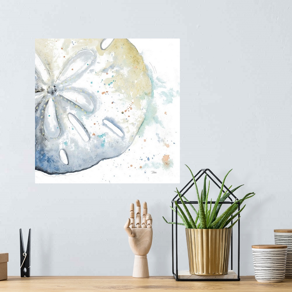 A bohemian room featuring Water Sand Dollar