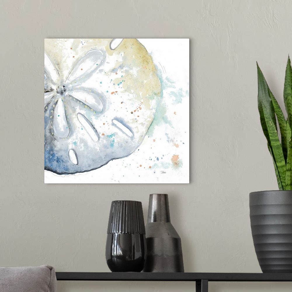 A modern room featuring Water Sand Dollar