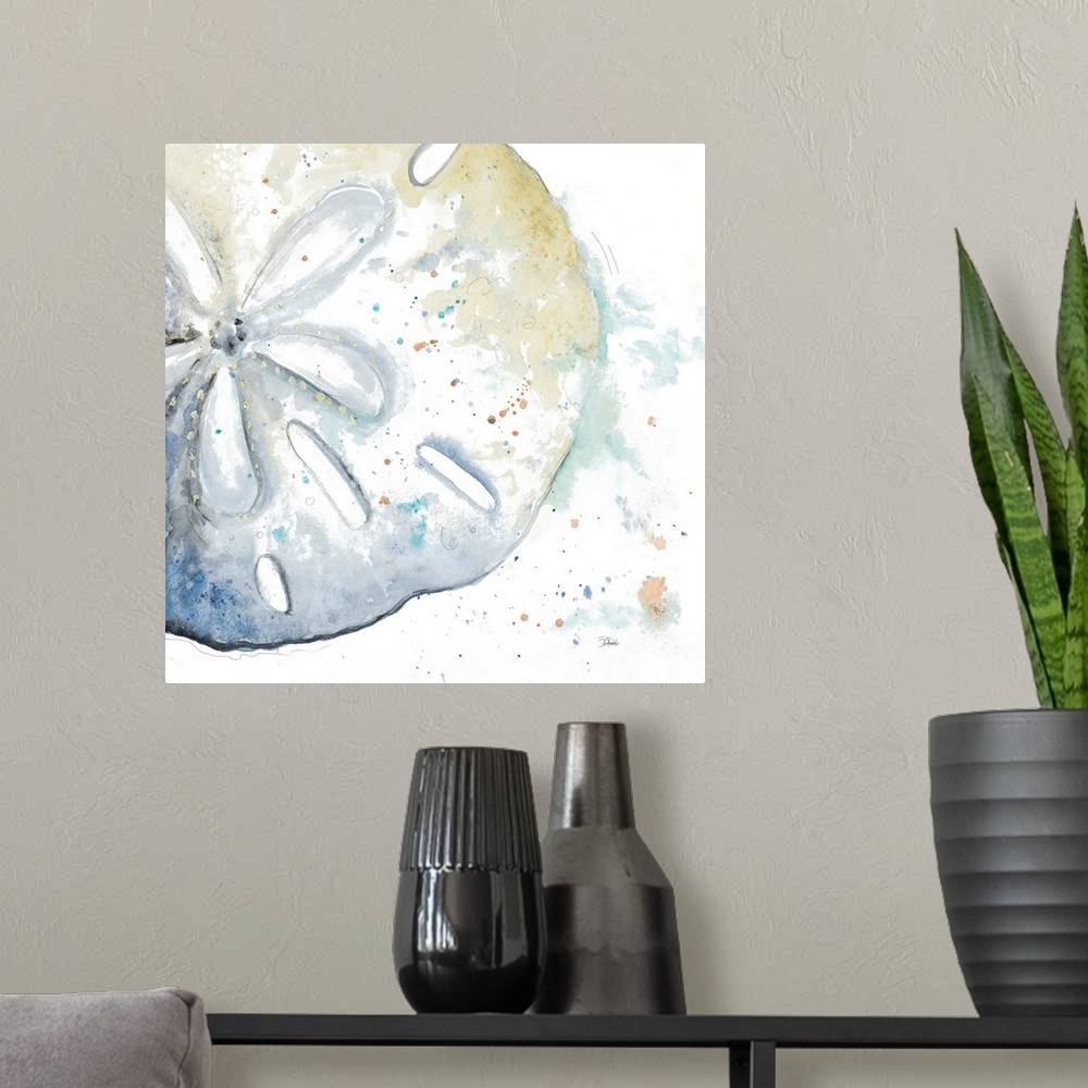 A modern room featuring Water Sand Dollar
