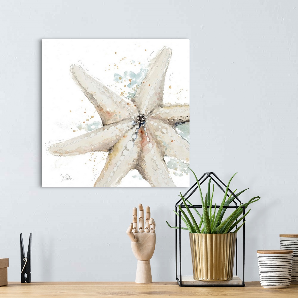 A bohemian room featuring Water Starfish